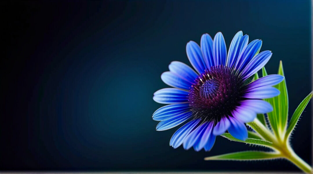 1080x600